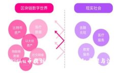 如何将Kishu币提到TPWallet：详细步骤与