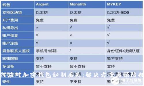 如何应对加密钱包秘钥丢失:解决方案与预防措施