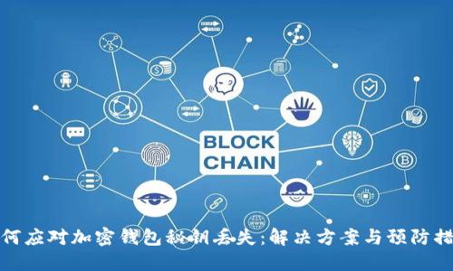 如何应对加密钱包秘钥丢失:解决方案与预防措施