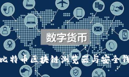 全面解析比特币区块链浏览器与安全钱包的选择