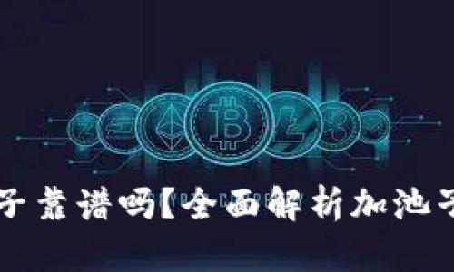 TPWallet加池子靠谱吗?全面解析加池子的风险与收益
