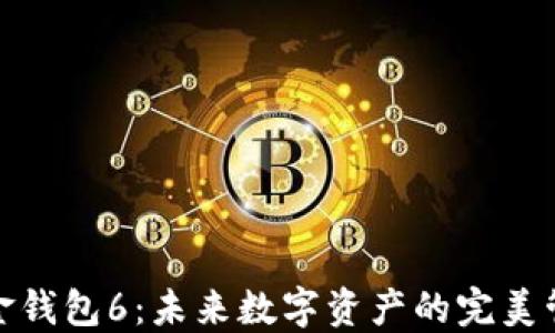 数字黄金钱包6:未来数字资产的完美管理工具