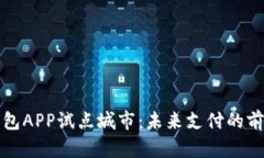 数字钱包APP试点城市：未来支付的前沿