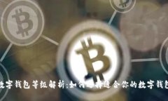 数字钱包等级解析：如何选择适合你的