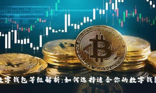 数字钱包等级解析:如何选择适合你的数字钱包