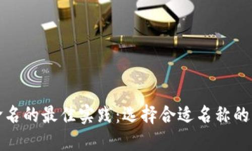 数字钱包命名的最佳实践：选择合适名称的策略与技巧