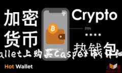 优质如何在TPWallet上购买Casper币：详细