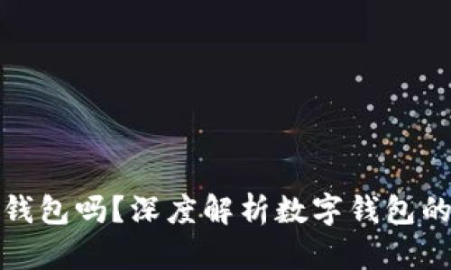 有必要存入数字钱包吗?深度解析数字钱包的优势与潜在风险