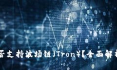 TPWallet是否支持波场链（Tron）？全面解