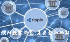 揭秘濮阳数字钱包：未来金融的新选择