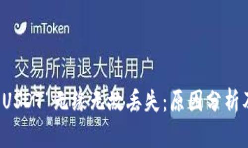 tpwallet USDT 无缘无故丢失:原因分析及解决方法