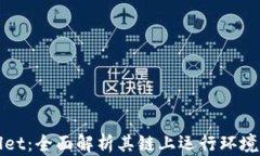 TPWallet：全面解析其链上运行环境及优