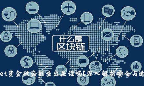 TPWallet资金被盗能查出是谁吗?深入解析安全与追踪技术
