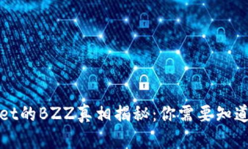 TPWallet的BZZ真相揭秘:你需要知道的一切