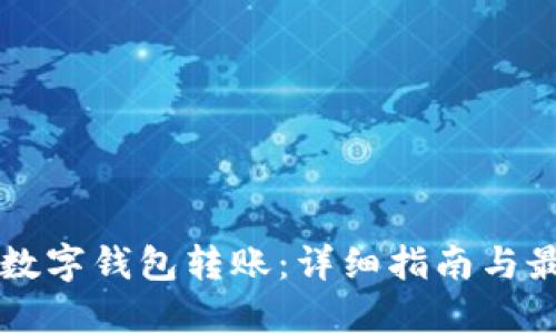怎样向数字钱包转账:详细指南与最佳实践