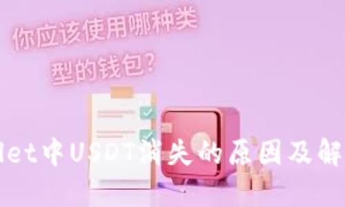TPWallet中USDT消失的原因及解决方案