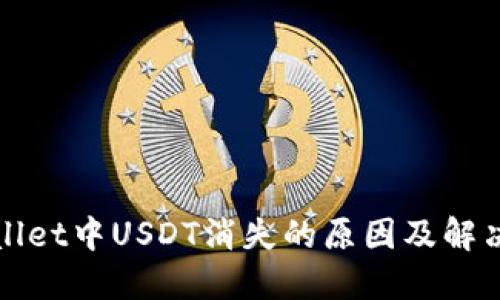 TPWallet中USDT消失的原因及解决方案