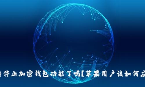 推特停止加密钱包功能了吗？苹果用户该如何应对？