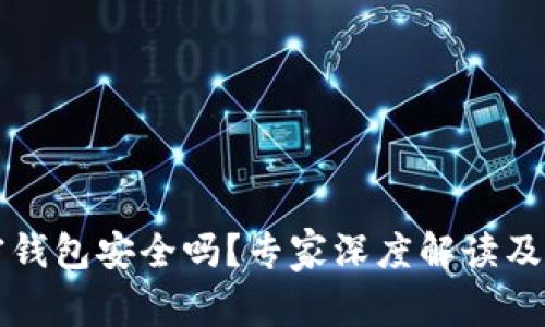 私人加密钱包安全吗？专家深度解读及最佳实践