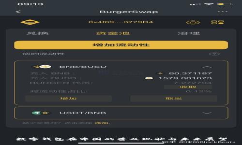 数字钱包在中国的普及现状与未来展望