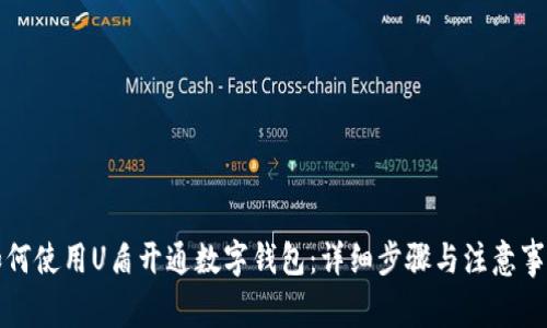 如何使用U盾开通数字钱包：详细步骤与注意事项