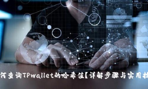 如何查询TPwallet的哈希值？详解步骤与实用技巧