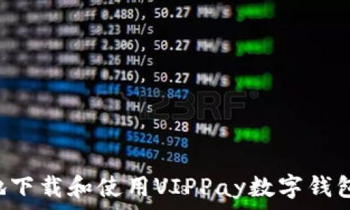   
如何安全地下载和使用VIPPay数字钱包：完整指南