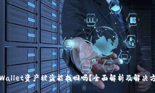 TPWallet资产被盗能找回吗？全面解析及解决方案