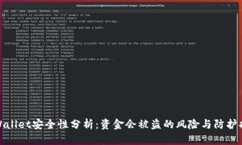 TPWallet安全性分析：资金会被盗的风险与防护措施